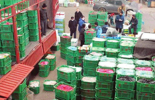 太原河西農副產品市場 菜籃子貨豐價穩(wěn)，保障民生供給