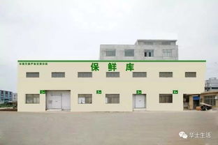 萬眾期待，終于等到你——華西農副產品交易中心水果區9月18日盛大開業
