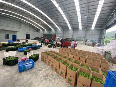 孫傳榮 走出產業(yè)融合發(fā)展之路，農副產品的創(chuàng)新與突破