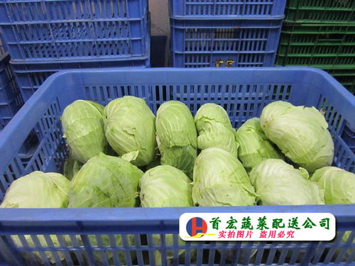 中堂農(nóng)副產(chǎn)品批發(fā)市場(chǎng)2017年3月17日交易動(dòng)態(tài)與市場(chǎng)觀察
